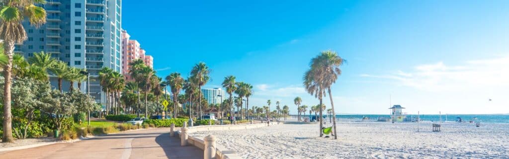 Limo Service Clearwater FL
